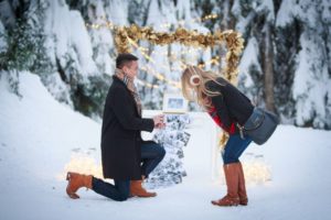 snowy proposal